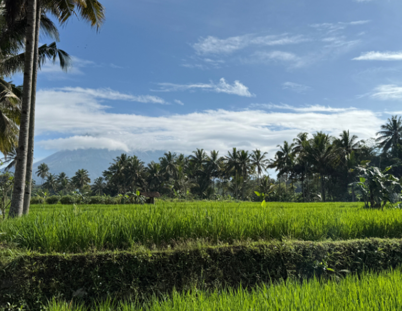cosa-e-come-si-mangia-in-indonesia