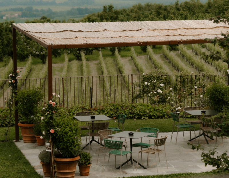 dalle-vigne-al-piatto-coltivare-e-il-piemonte-che-sa-rinnovarsi