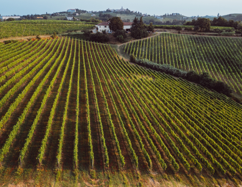 enoturismo-italia-accessibilita-cantine-vinitaly