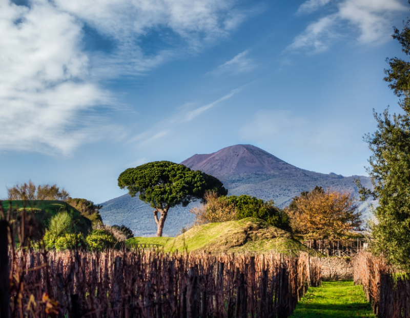 eventi-vino-maggio-campania