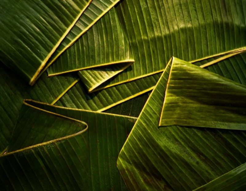 Foto di Victor Protasio