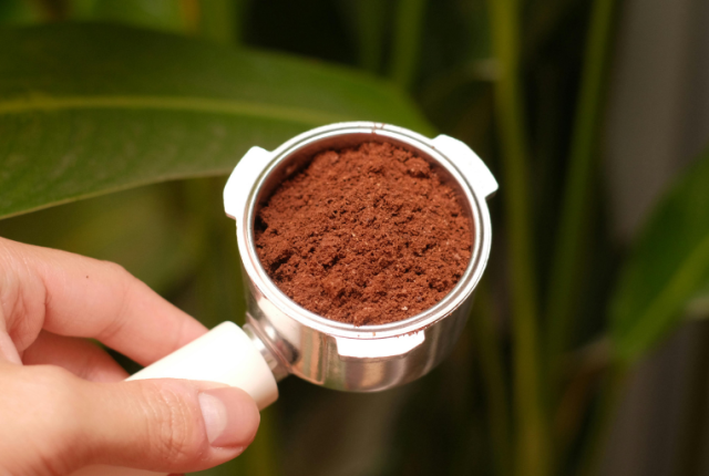 fondi-caffe-biochar-ricerca-corea-cambiamento-climatico