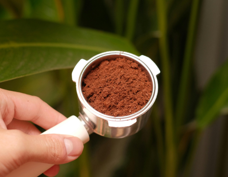 fondi-caffe-biochar-ricerca-corea-cambiamento-climatico