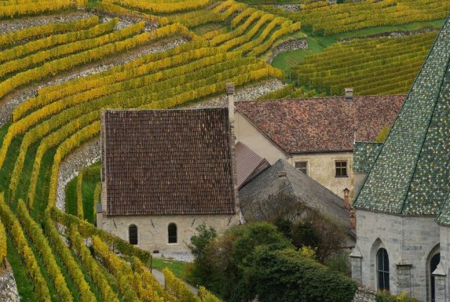 i vigneti dell’Abbazia di Novacella