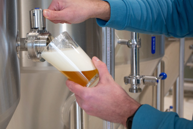 international-beer-day-eventi-estate-birra