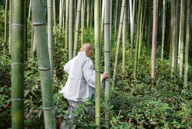 jeongkwan-snim-vienna-evento-steinbeisser