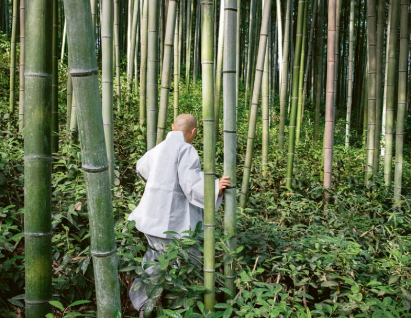 jeongkwan-snim-vienna-evento-steinbeisser