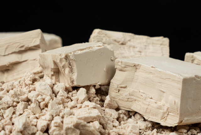 lievito-pane-fermentazione-scienza