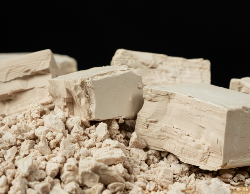 lievito-pane-fermentazione-scienza