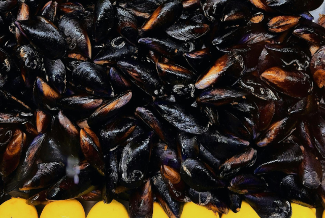 limone-disinfetta-frutti-di-mare-cozze-vongole