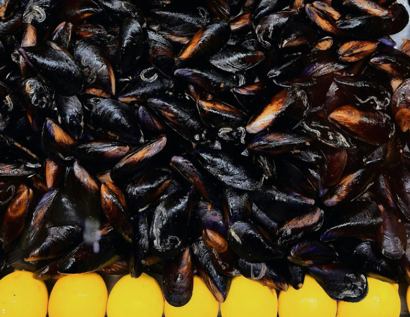limone-disinfetta-frutti-di-mare-cozze-vongole