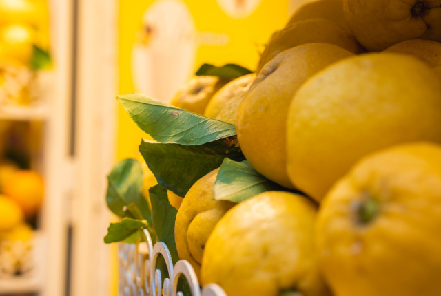 limoni-limoneti-terrazzamenti-amalfi-fao