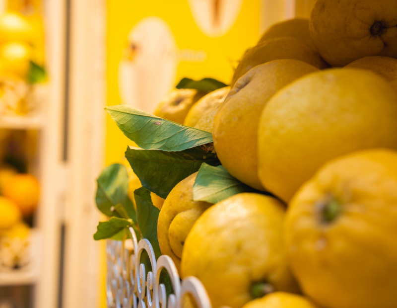 limoni-limoneti-terrazzamenti-amalfi-fao