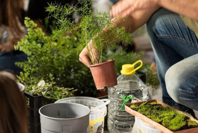 mangia-e-cambia-messina-cibo-strumento-di-pace