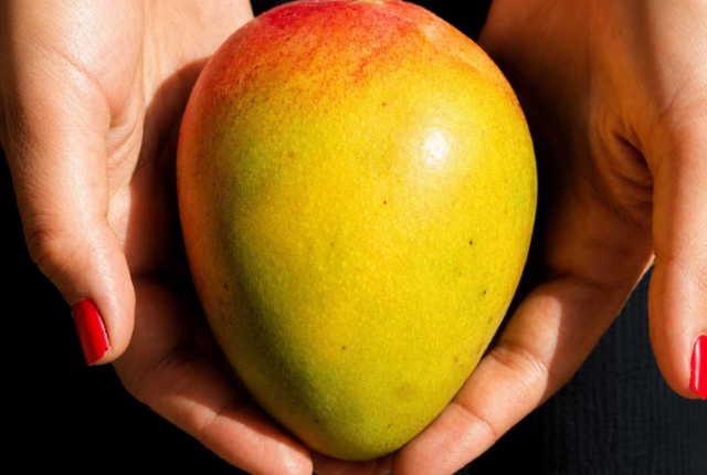 mango-sardegna