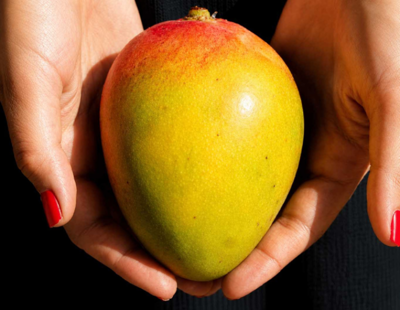 mango-sardegna