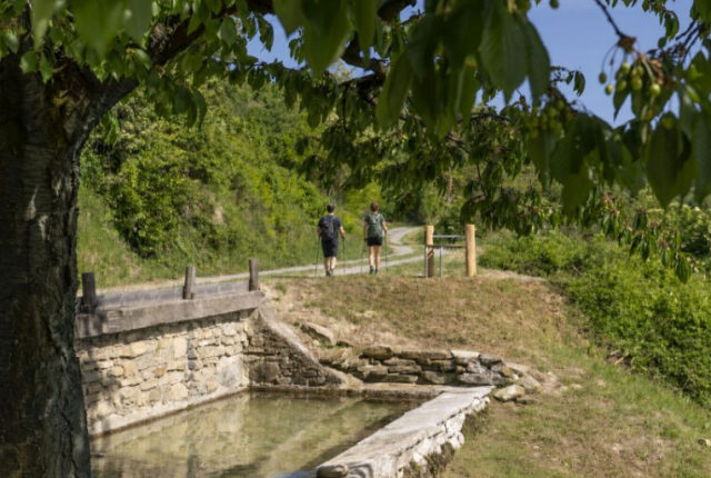 merluzzo-in-sensovia-alta-langa