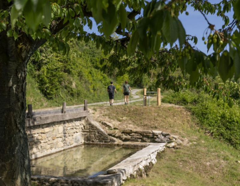 merluzzo-in-sensovia-alta-langa