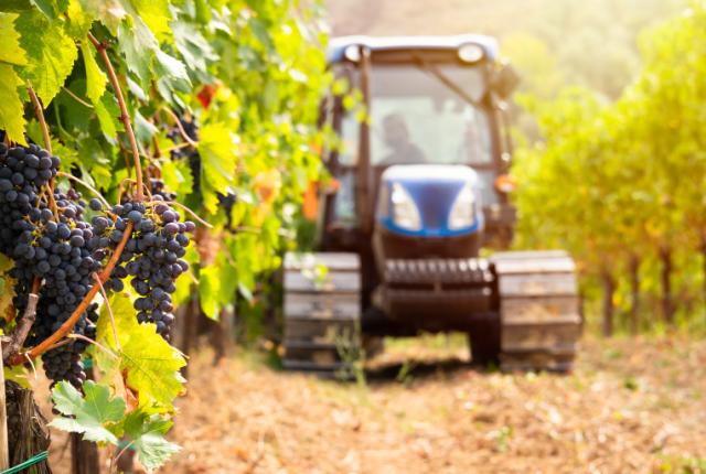 modello-langhe-gestione-manodopera-vigneti-studio