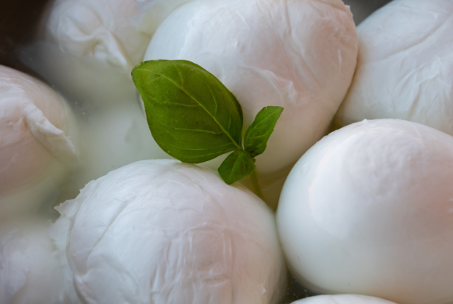 mozzarella-fiordilatte-differenze-preparazione-gusto-materia-prima-bufala