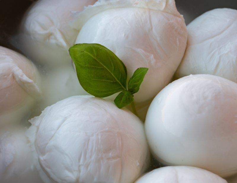 mozzarella-fiordilatte-differenze-preparazione-gusto-materia-prima-bufala