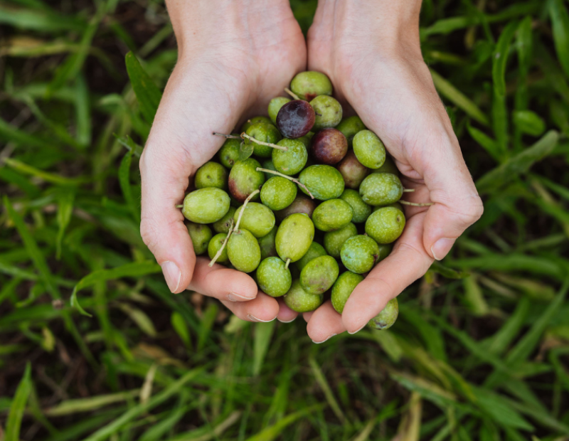 olio extravergine