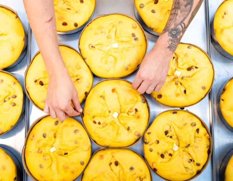 olivieri-1882-bauli-panettone-intervista