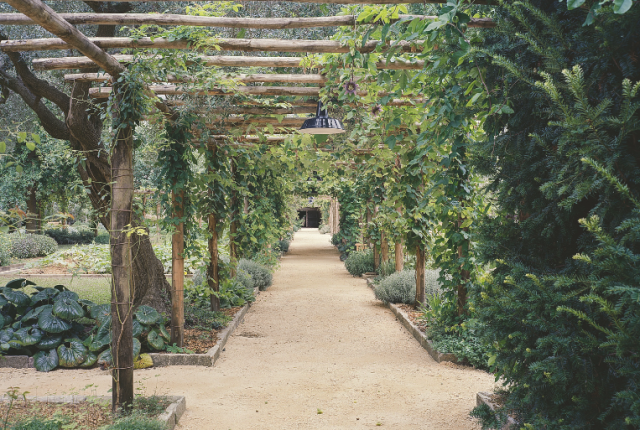 orto-del-redentore-nei-piatti-del-the-gritti-palace-giardino-segreto