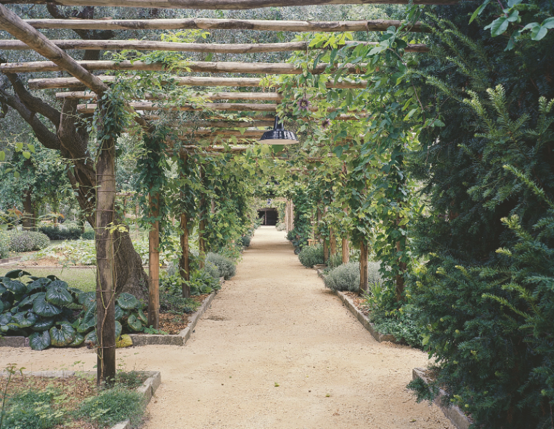 orto-del-redentore-nei-piatti-del-the-gritti-palace-giardino-segreto