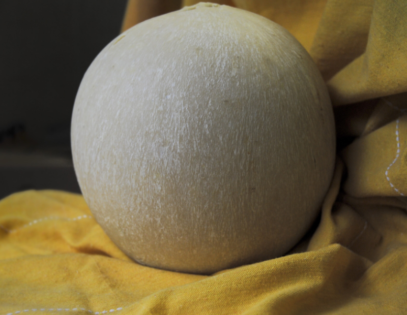 pallone-di-gravina-formaggio-puglia-storia