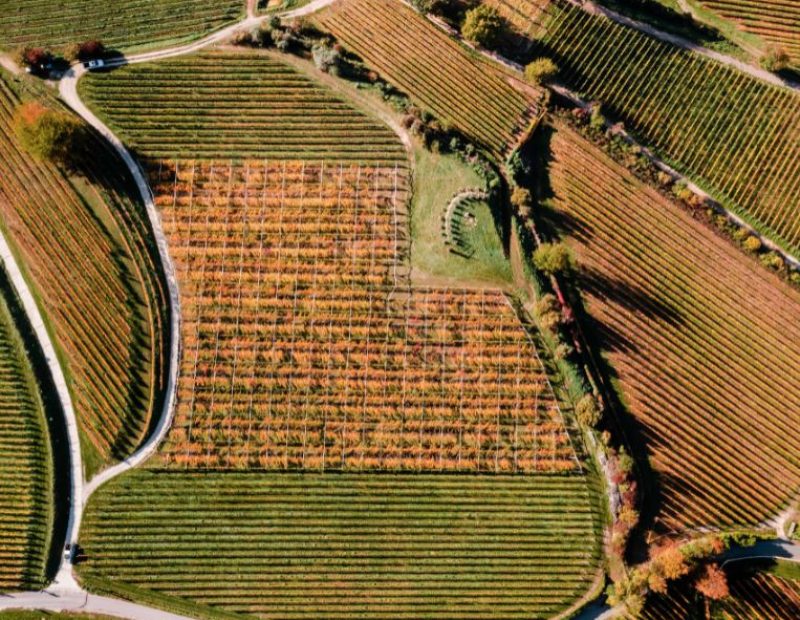 Tenuta J. Hofstätter