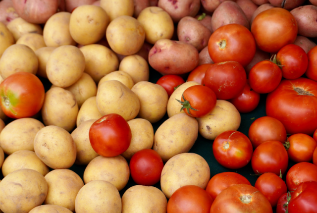 patata-origini-pomodori