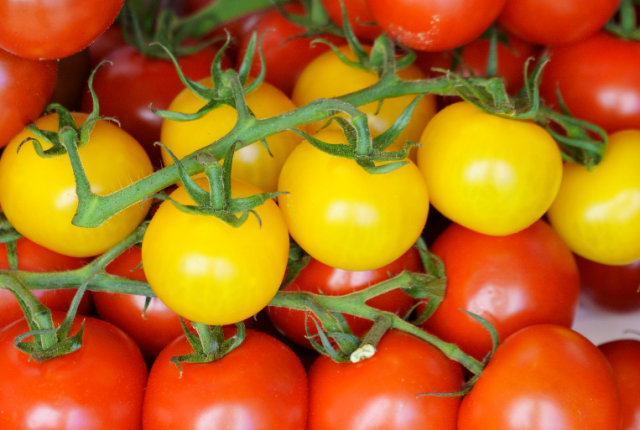 perche-pomodori-gialli-rossi-studio-gene-yft3