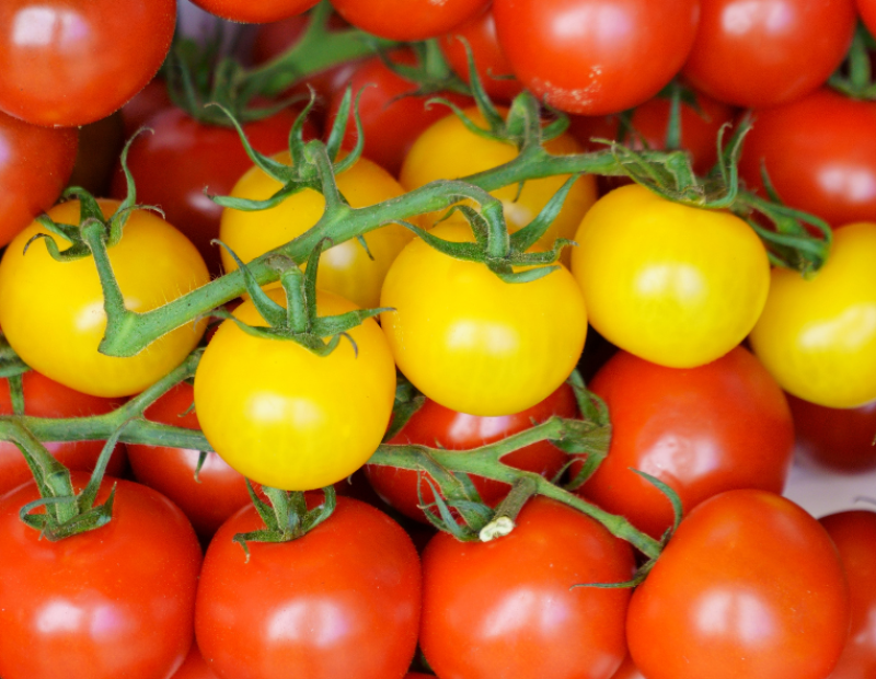 perche-pomodori-gialli-rossi-studio-gene-yft3