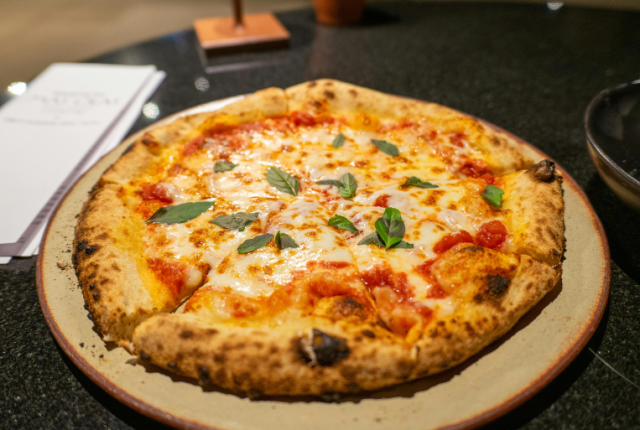 pietra-refrattaria-pane-pizza-uso-forno-casa