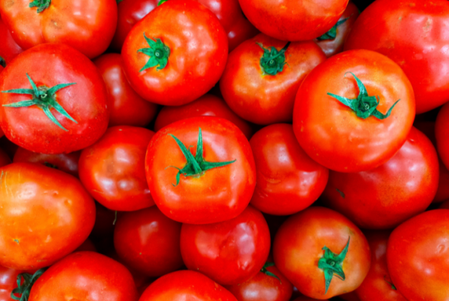 pomodoro-resistente-virus-tobrfv-scienza