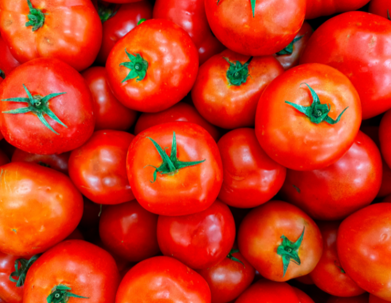 pomodoro-resistente-virus-tobrfv-scienza