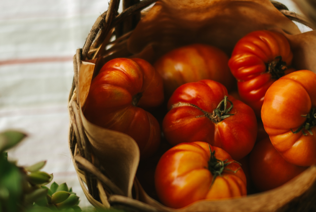 pranzo-ferragosto-storia-tradizioni-ricette-italiane