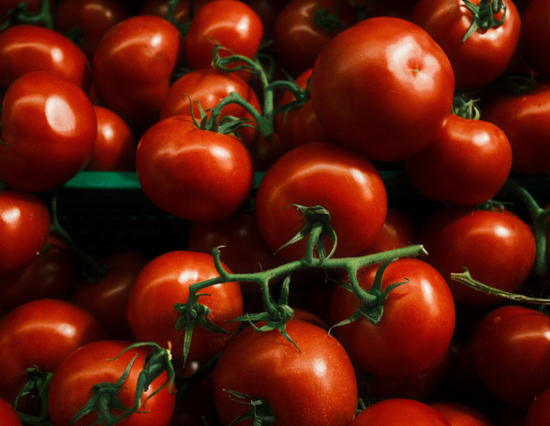 prezzo-pomodoro-da-conserva-costi-industria