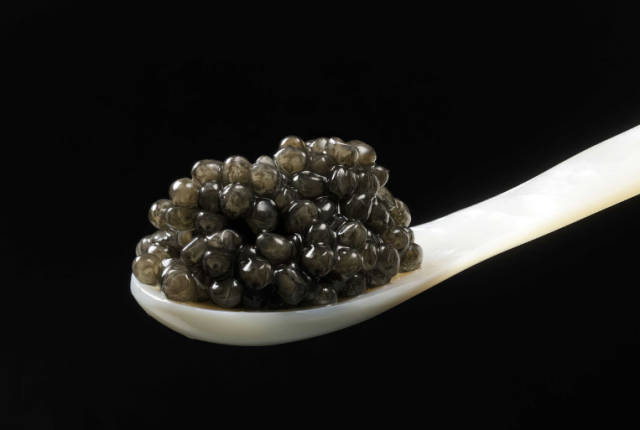 quale-caviale-comprare-una-selezione-dei-migliori-sul-mercato