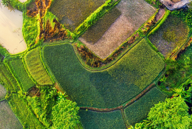 regno-unito-agricoltura-rigenerativa-caldo