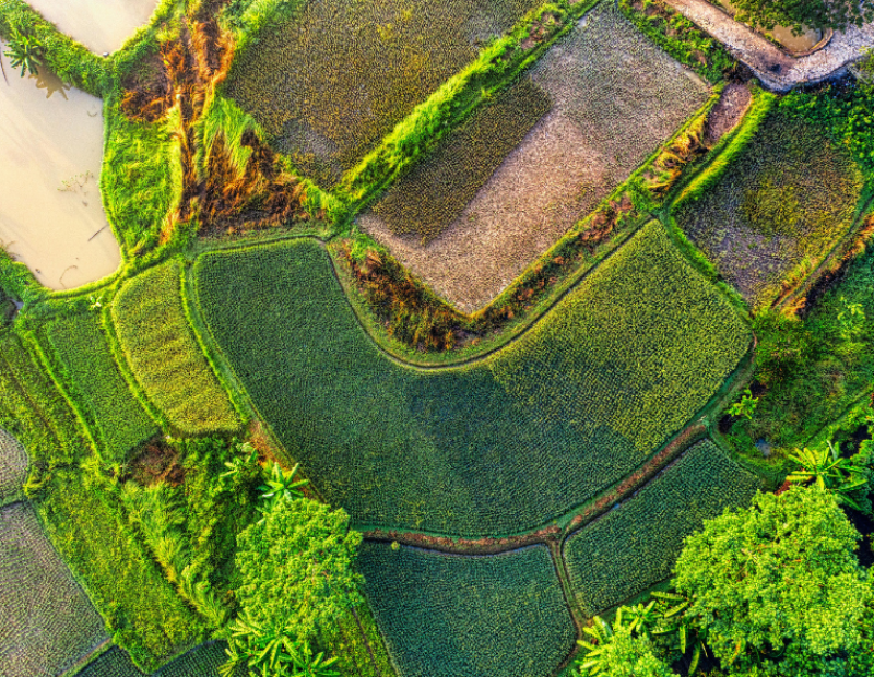 regno-unito-agricoltura-rigenerativa-caldo