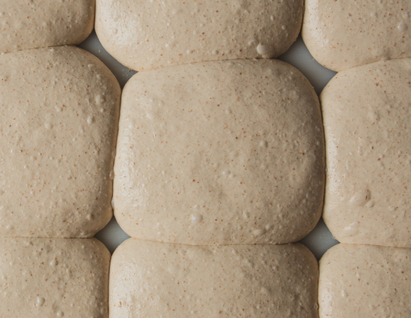 ricetta-impasto-pizza-pala-ciccio-vitiello