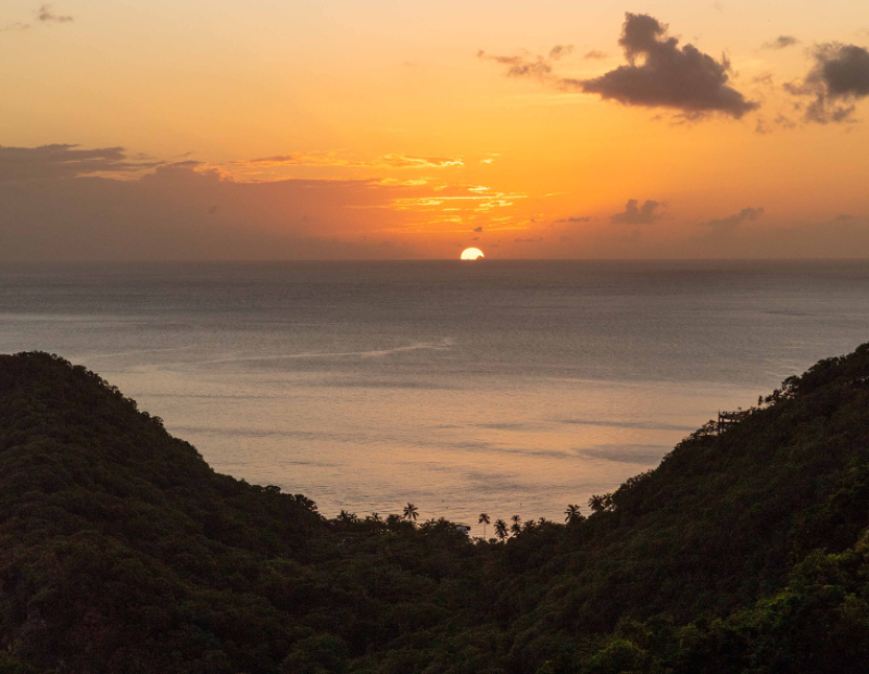 saint-lucia-nina-compton