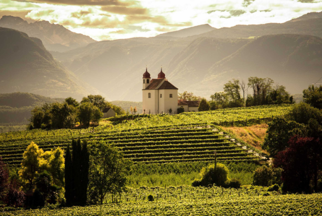 sanct-valentin-sauvignon-di-san-michele-appiano