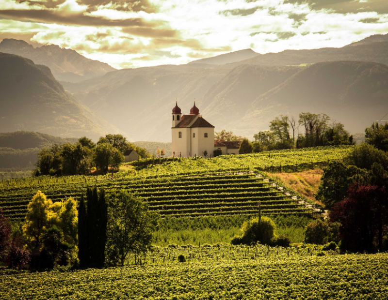 sanct-valentin-sauvignon-di-san-michele-appiano