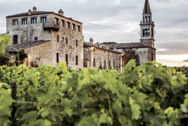 relax tra le vigne