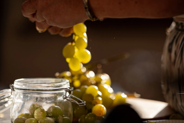 spoleto-conserva-2025