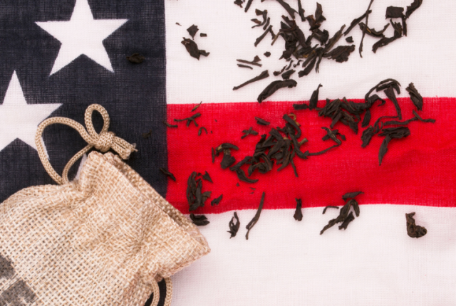 stati-uniti-dazi-storia