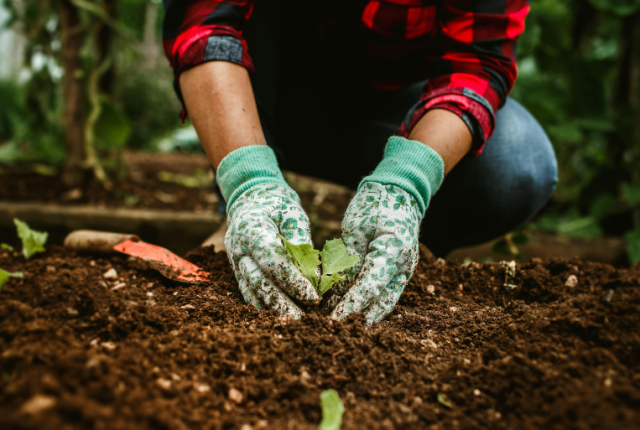 tendenze-gastronomia-ecole-ducasse